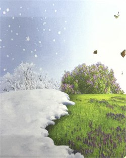 Салфетки Т-129 14214